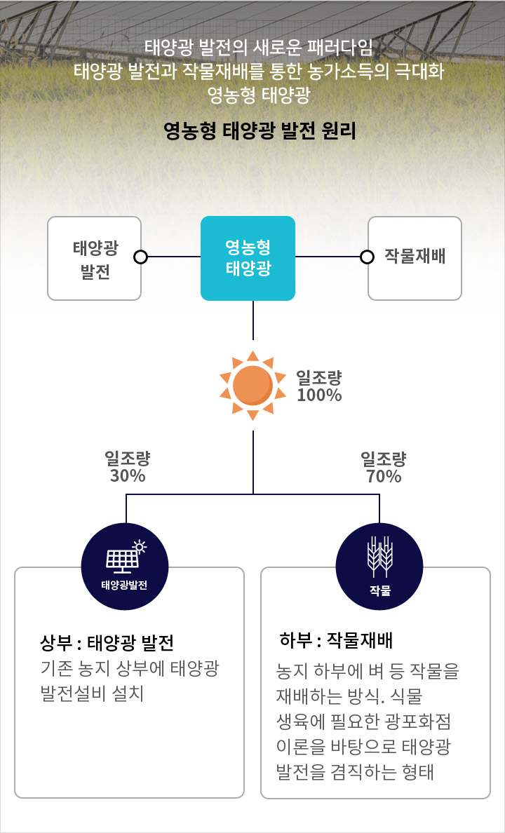 영농형 태양광 발전 원리