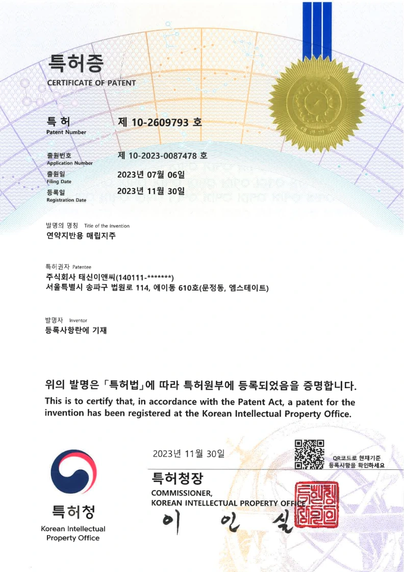 연약지반용 매립지주 특허증